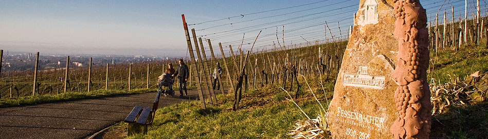 Weinwanderweg im Spätherbst